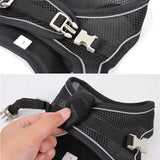 Adjustable Puppy Harness & Leash Set – Small Dogs,, French Bulldog, Chihuahua Vest