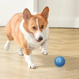 mart Interactive Dog Toy Ball – USB Rechargeable Pet Toy