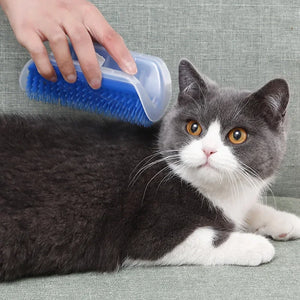 Cat Corner Self-Grooming Brush – Hair Remover & Scratcher