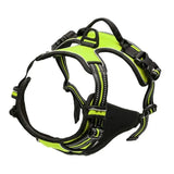 Leather Dog Collar, Harness & Leash Set – Adjustable Puppy Accessories