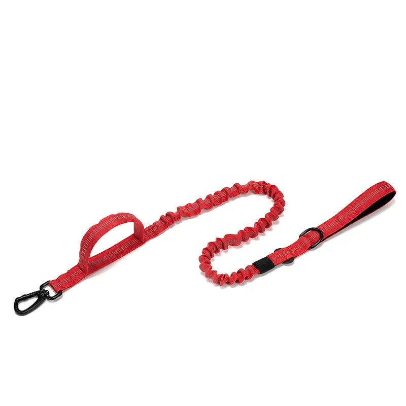 Tactical Training Collar for Medium & Large Dogs