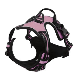 Leather Dog Collar, Harness & Leash Set – Adjustable Puppy Accessories