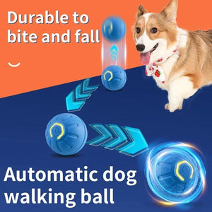 mart Interactive Dog Toy Ball – USB Rechargeable Pet Toy