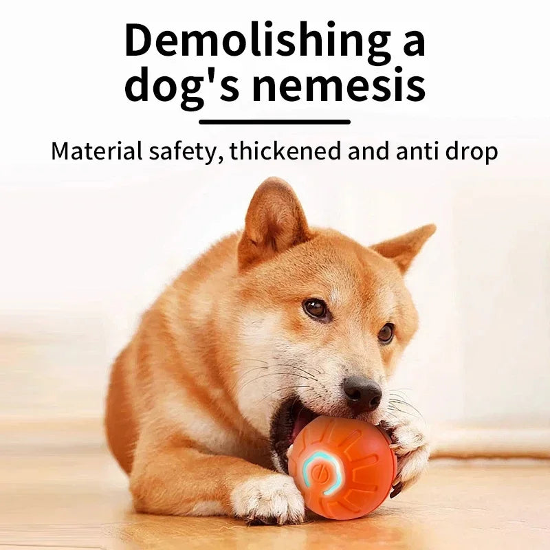 mart Interactive Dog Toy Ball – USB Rechargeable Pet Toy
