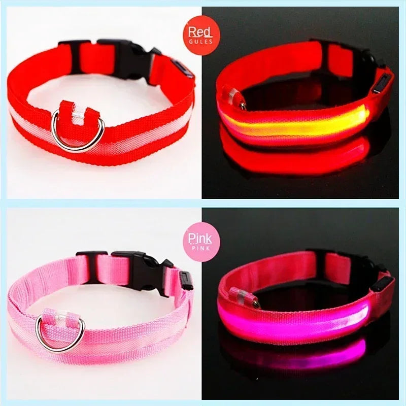 LED Glowing Dog Collar – USB Rechargeable Light Up Collar - Night Safety & Anti-Lost