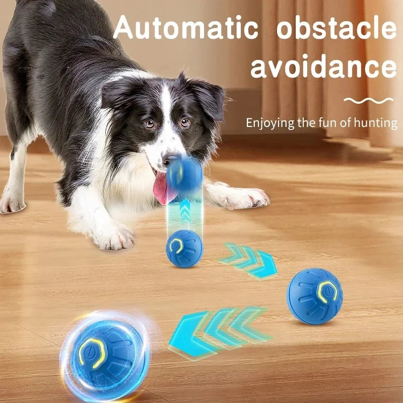 mart Interactive Dog Toy Ball – USB Rechargeable Pet Toy
