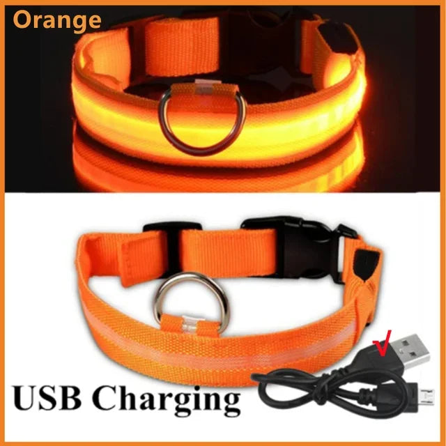 LED Glowing Dog Collar – USB Rechargeable Light Up Collar - Night Safety & Anti-Lost