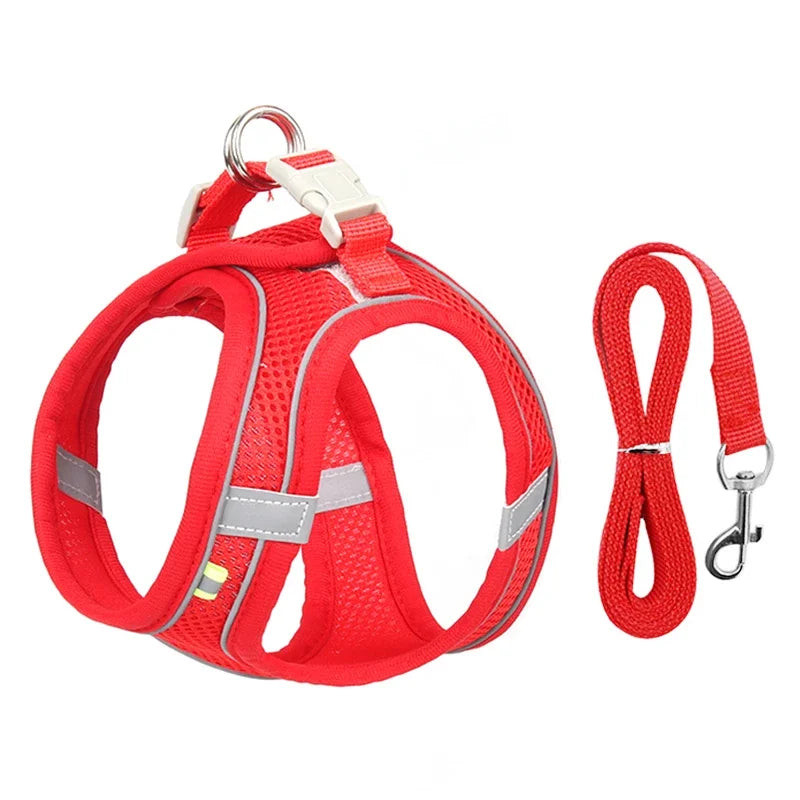 Adjustable Puppy Harness & Leash Set – Small Dogs,, French Bulldog, Chihuahua Vest