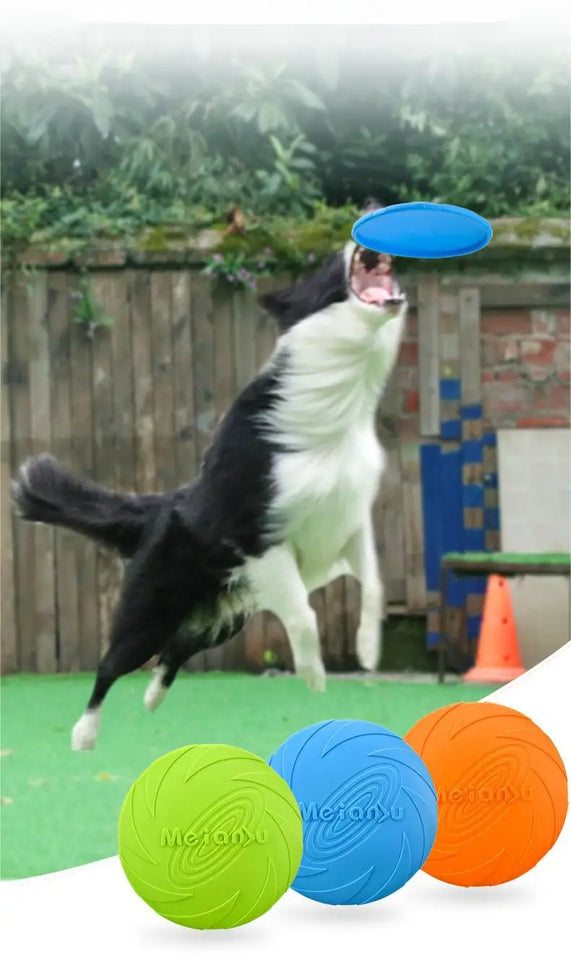 Durable Dog Flying Disc – Bite-Resistant Outdoor Training & Play Toy