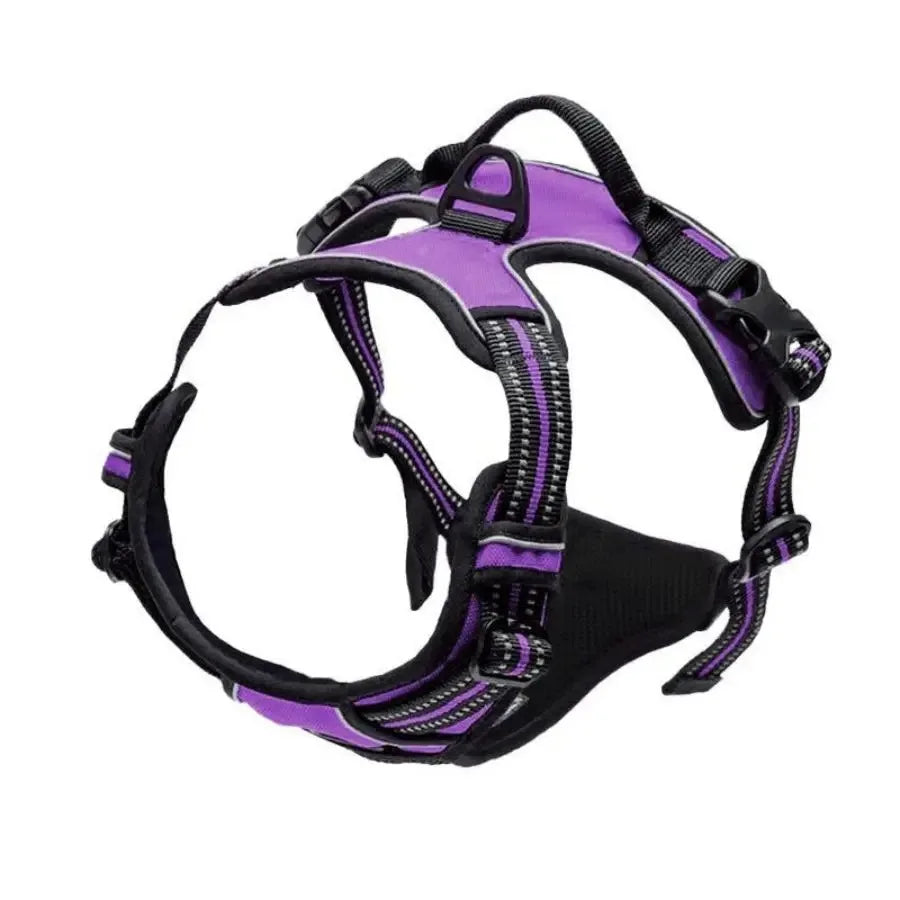 Leather Dog Collar, Harness & Leash Set – Adjustable Puppy Accessories