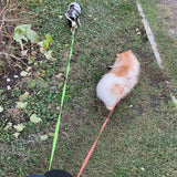 Dual Dog Leash with Tangle-Free Swivel & LED Light