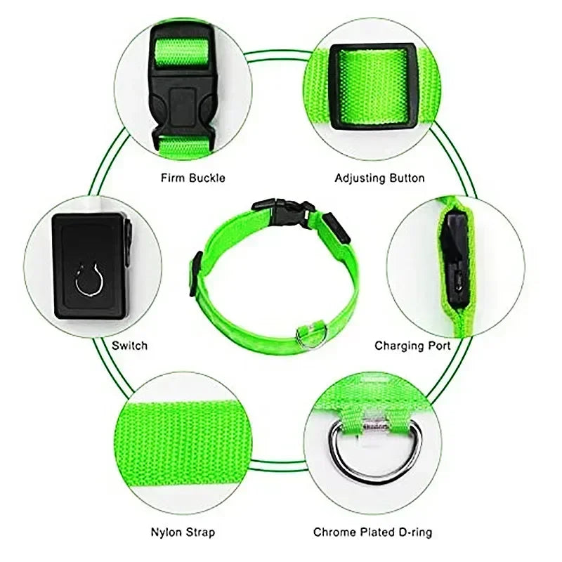 LED Glowing Dog Collar – USB Rechargeable Light Up Collar - Night Safety & Anti-Lost