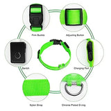 LED Glowing Dog Collar – USB Rechargeable Light Up Collar - Night Safety & Anti-Lost
