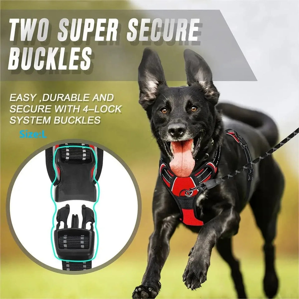 Leather Dog Collar, Harness & Leash Set – Adjustable Puppy Accessories