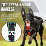 Leather Dog Collar, Harness & Leash Set – Adjustable Puppy Accessories