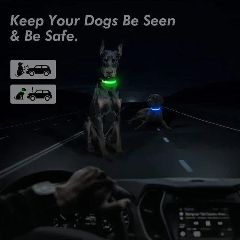 LED Glowing Dog Collar – USB Rechargeable Light Up Collar - Night Safety & Anti-Lost