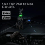 LED Glowing Dog Collar – USB Rechargeable Light Up Collar - Night Safety & Anti-Lost