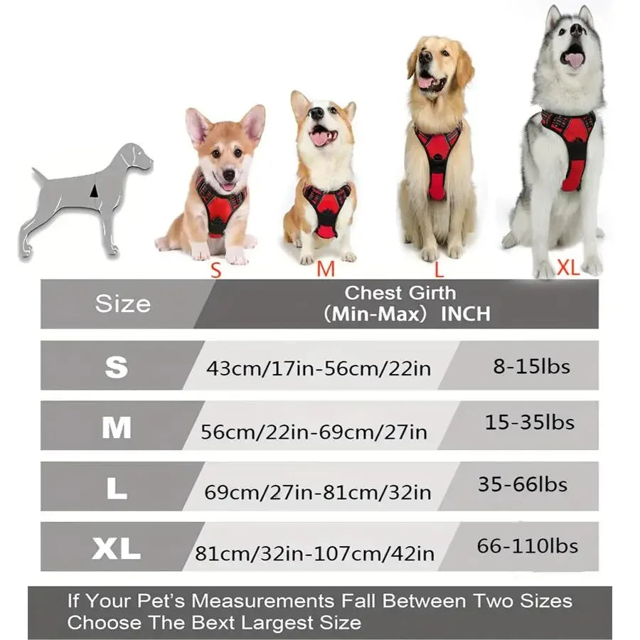 Leather Dog Collar, Harness & Leash Set – Adjustable Puppy Accessories