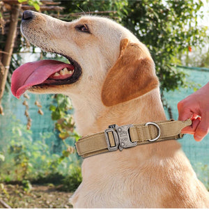 Tactical Training Collar for Medium & Large Dogs