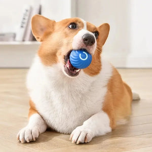 mart Interactive Dog Toy Ball – USB Rechargeable Pet Toy