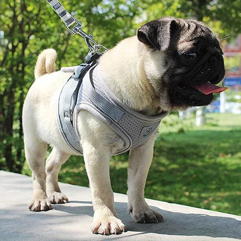 Adjustable Dog Harness with Leash – Vest Collar & Chest Strap