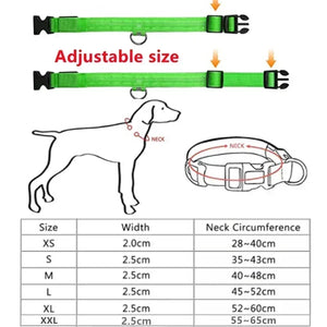 LED Glowing Dog Collar – USB Rechargeable Light Up Collar - Night Safety & Anti-Lost