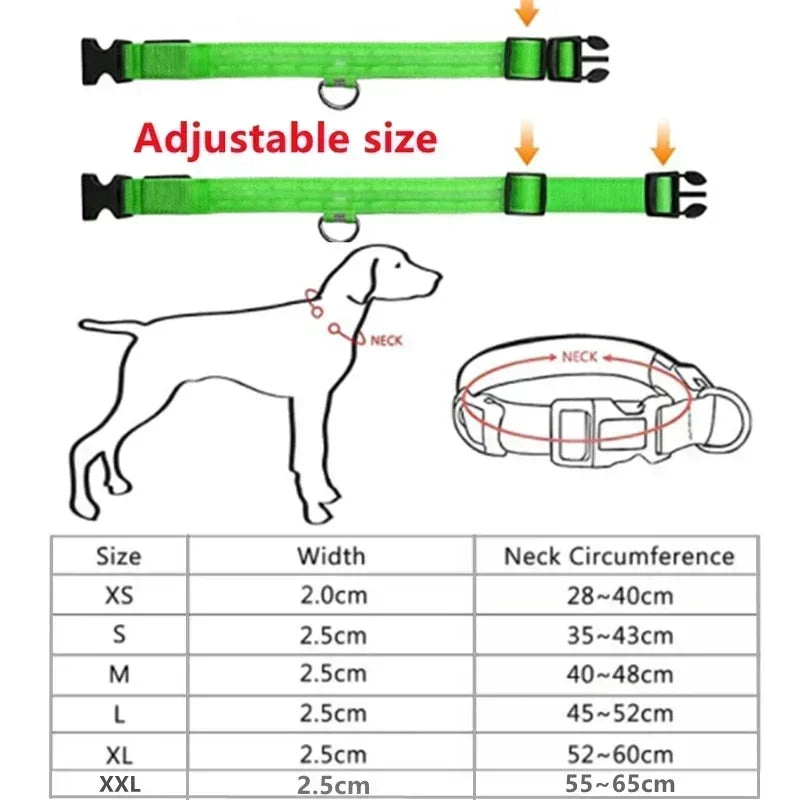 LED Glowing Dog Collar – USB Rechargeable Light Up Collar - Night Safety & Anti-Lost