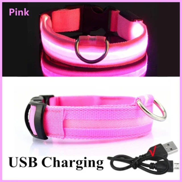 LED Glowing Dog Collar – USB Rechargeable Light Up Collar - Night Safety & Anti-Lost