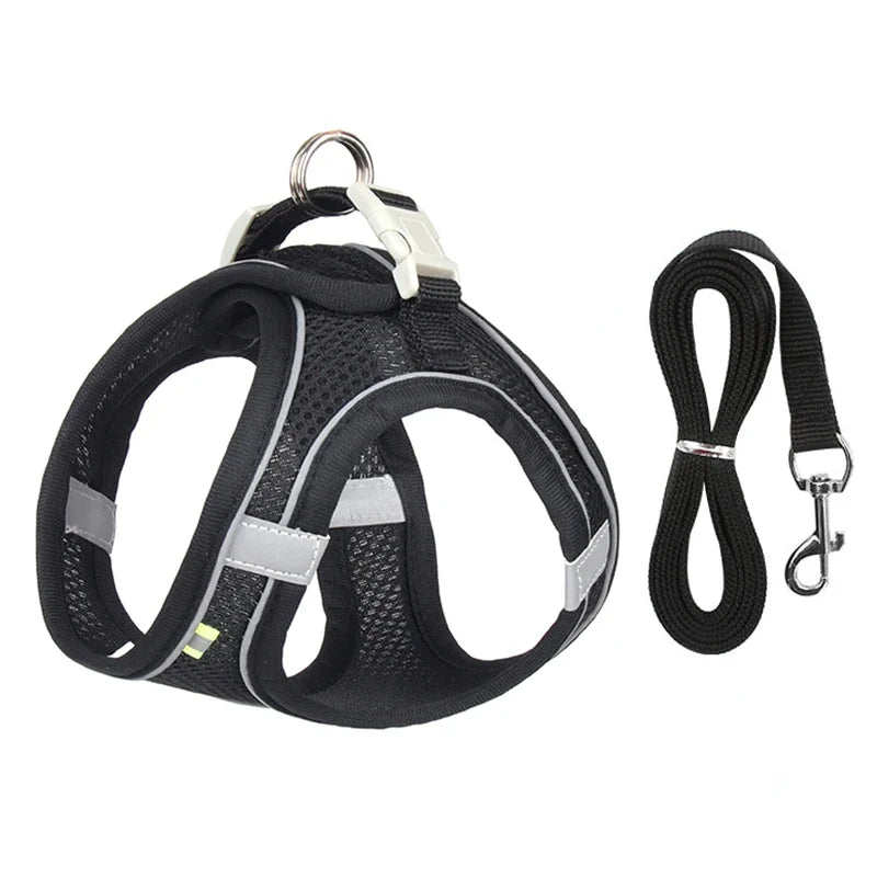 Adjustable Puppy Harness & Leash Set – Small Dogs,, French Bulldog, Chihuahua Vest