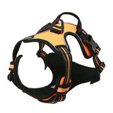 Leather Dog Collar, Harness & Leash Set – Adjustable Puppy Accessories