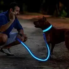 LED Glowing Dog Collar – USB Rechargeable Light Up Collar - Night Safety & Anti-Lost