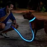 LED Glowing Dog Collar – USB Rechargeable Light Up Collar - Night Safety & Anti-Lost