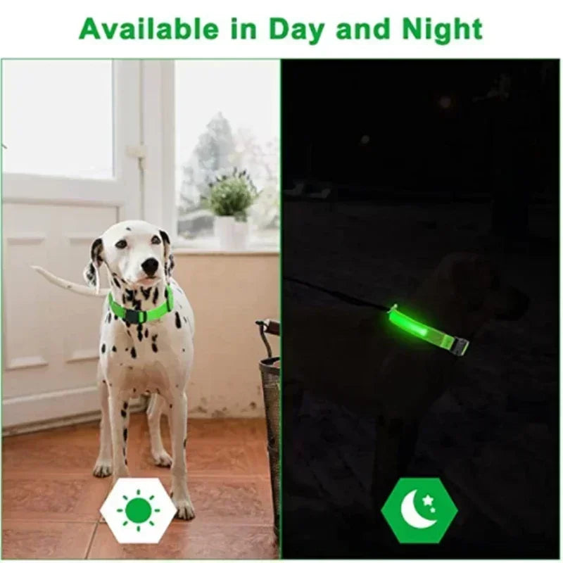 LED Glowing Dog Collar – USB Rechargeable Light Up Collar - Night Safety & Anti-Lost