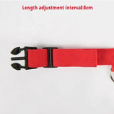 LED Glowing Dog Collar – USB Rechargeable Light Up Collar - Night Safety & Anti-Lost