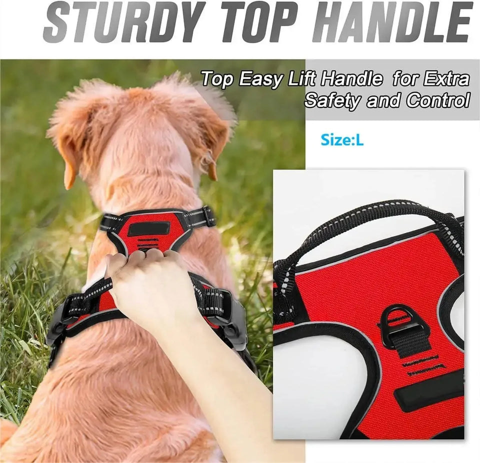 Leather Dog Collar, Harness & Leash Set – Adjustable Puppy Accessories