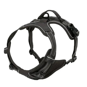 Leather Dog Collar, Harness & Leash Set – Adjustable Puppy Accessories