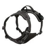 Leather Dog Collar, Harness & Leash Set – Adjustable Puppy Accessories