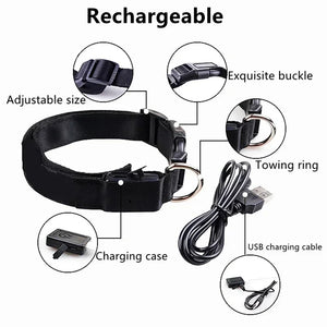 LED Glowing Dog Collar – USB Rechargeable Light Up Collar - Night Safety & Anti-Lost